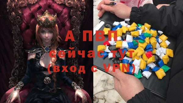 МДПВ Абаза