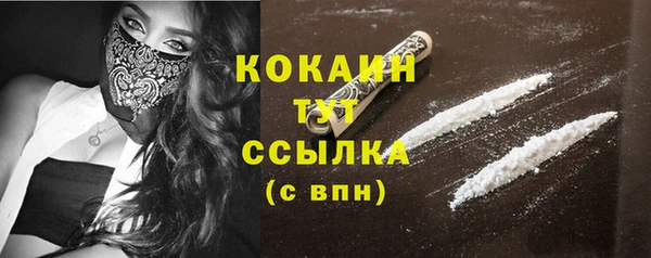 МДПВ Абаза